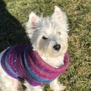 Meet your Posher, Paula